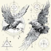 Ravens Flight